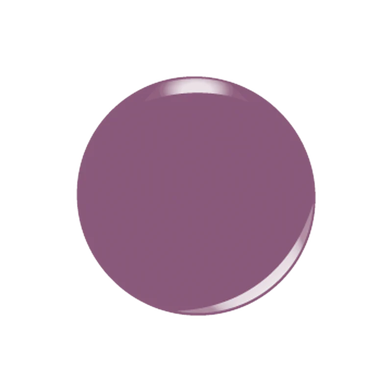 CHINCHILLA - Image 3