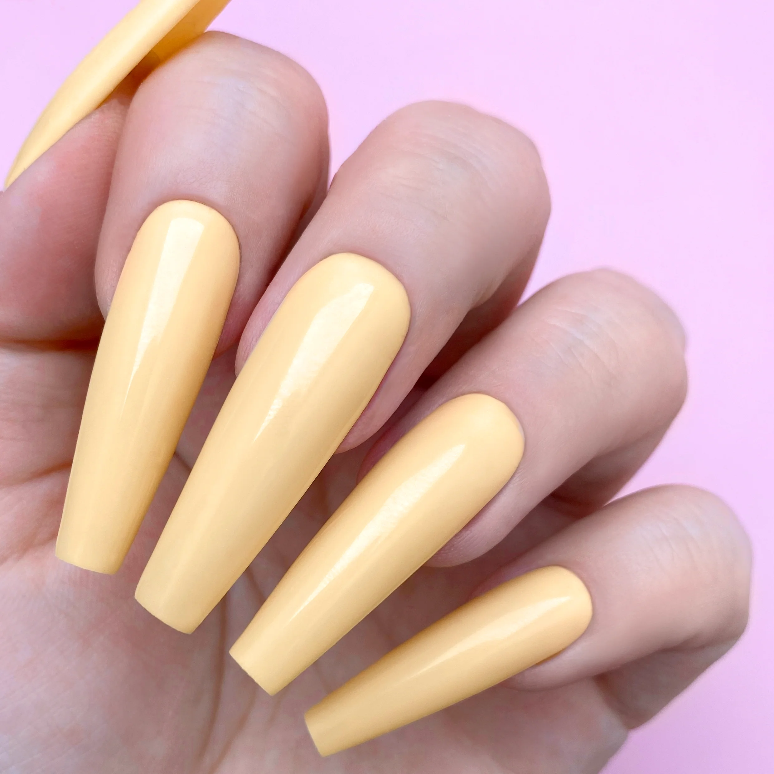 Honey Blonde - Image 2