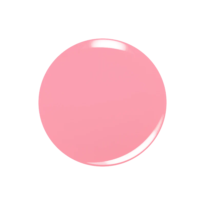 Let's Flamingle - Image 3