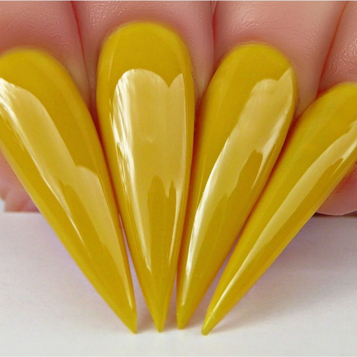 THE BEES KNEES - Image 2