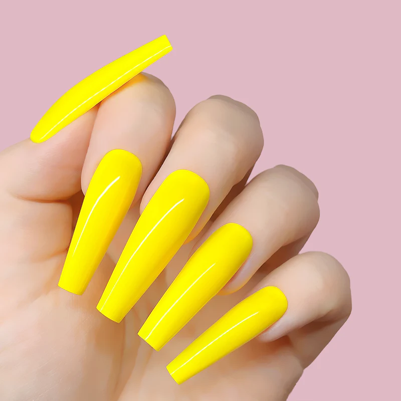 Sunshine - Image 3