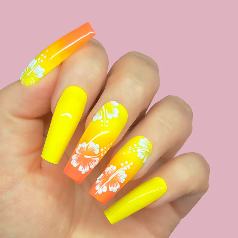 Sunshine - Image 4